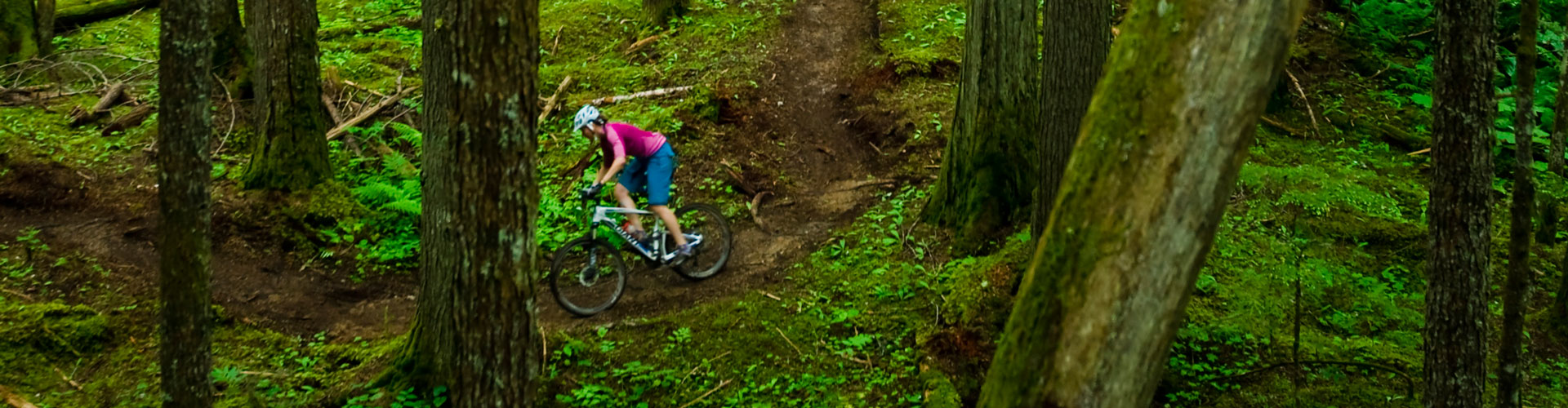 Mountain biker riding singletrack in British Columbia rainforest